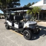 2025 Denago EV Rover XL 6 for Sale