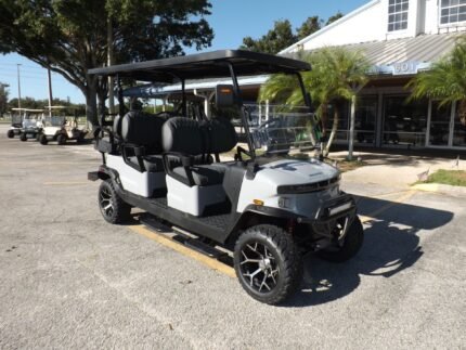 2025 Denago EV Rover XL 6 for Sale