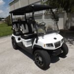 2025 Evolution Electric Vehicles D5 Ranger 4