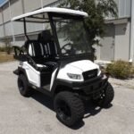 2022 Bintelli Pulse 4S Lifted LSV For Sale