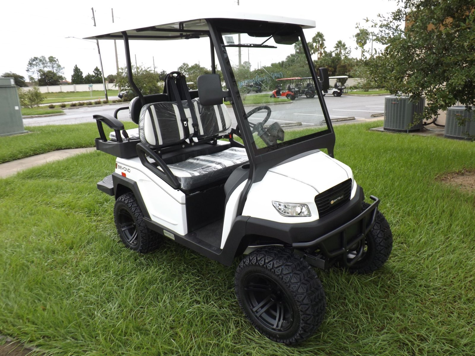 6000000001 Bintelli golf cart